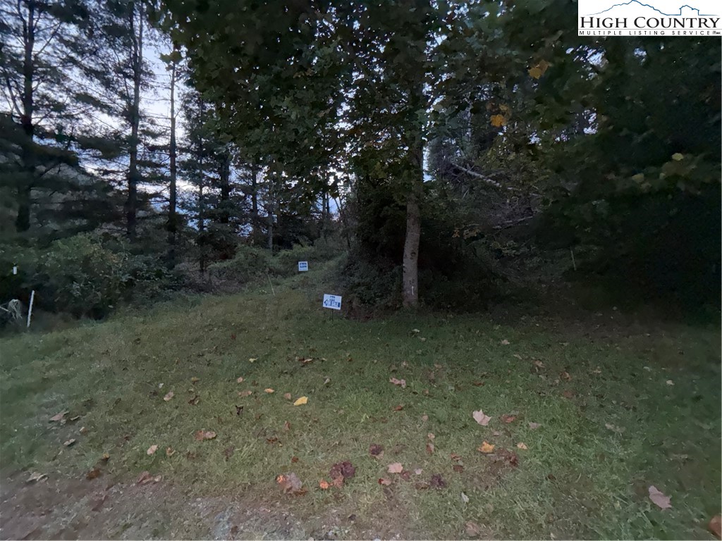 360 Baldwin Gap Road Creston, NC 28615 - Photo 8 of 23 Gallery Image 8