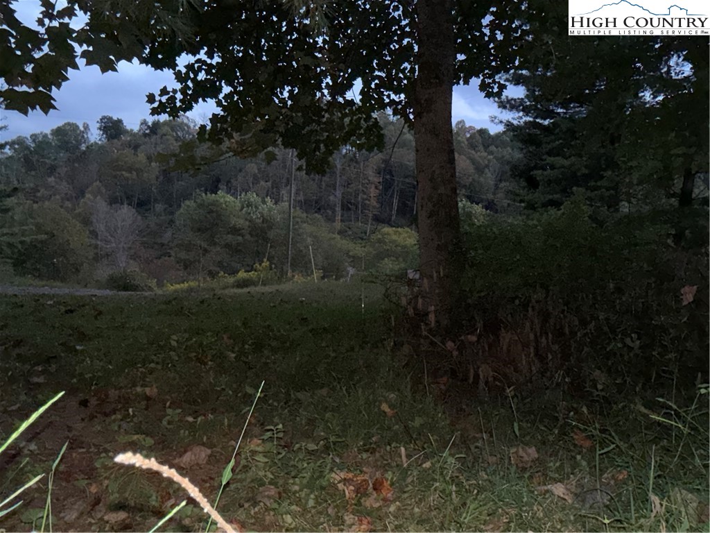 360 Baldwin Gap Road Creston, NC 28615 - Photo 10 of 23 Gallery Image 10