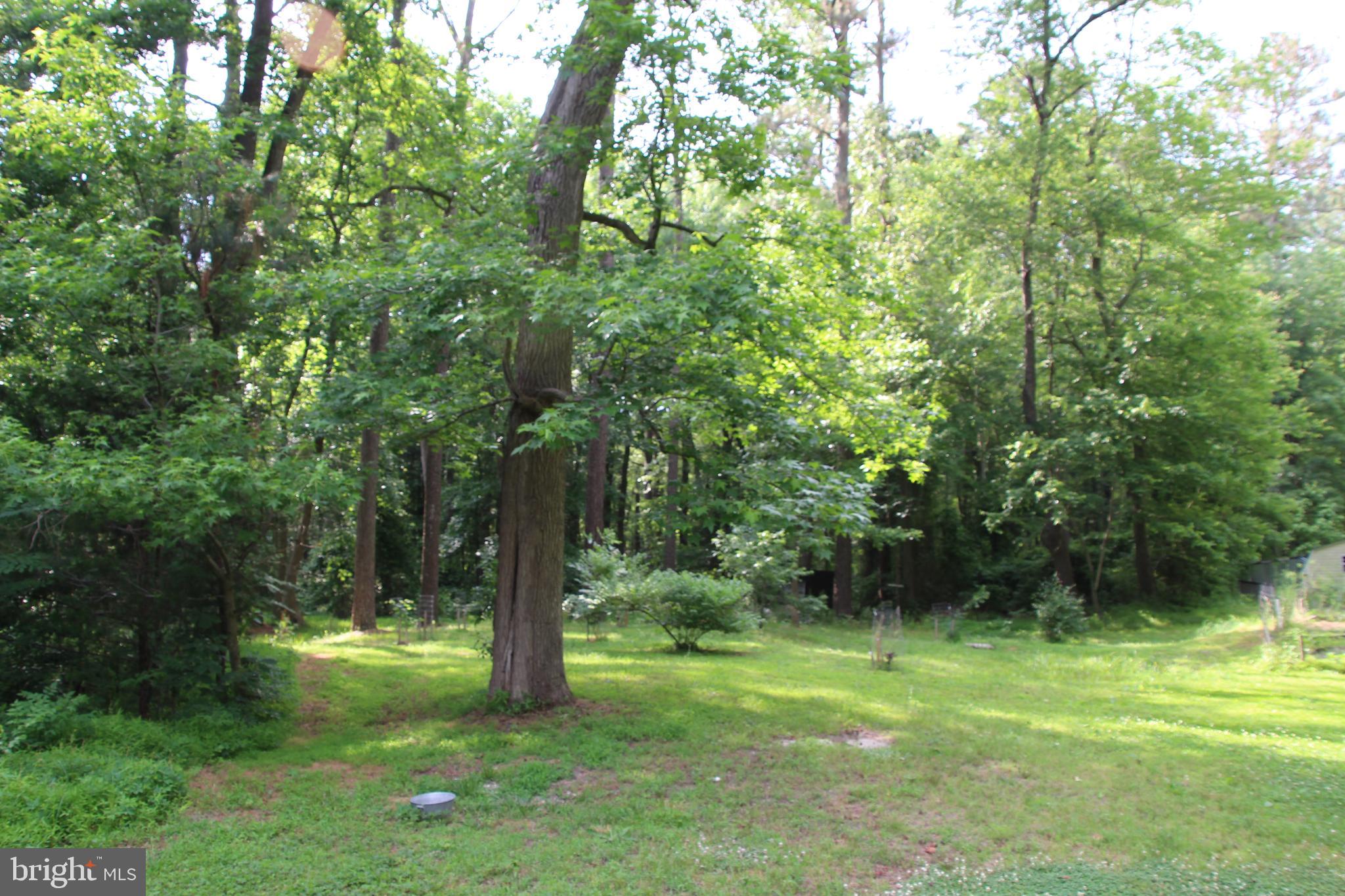3252 Sheephouse Road Pocomoke City, MD 21851 - Photo 31 of 36 Gallery Image 31