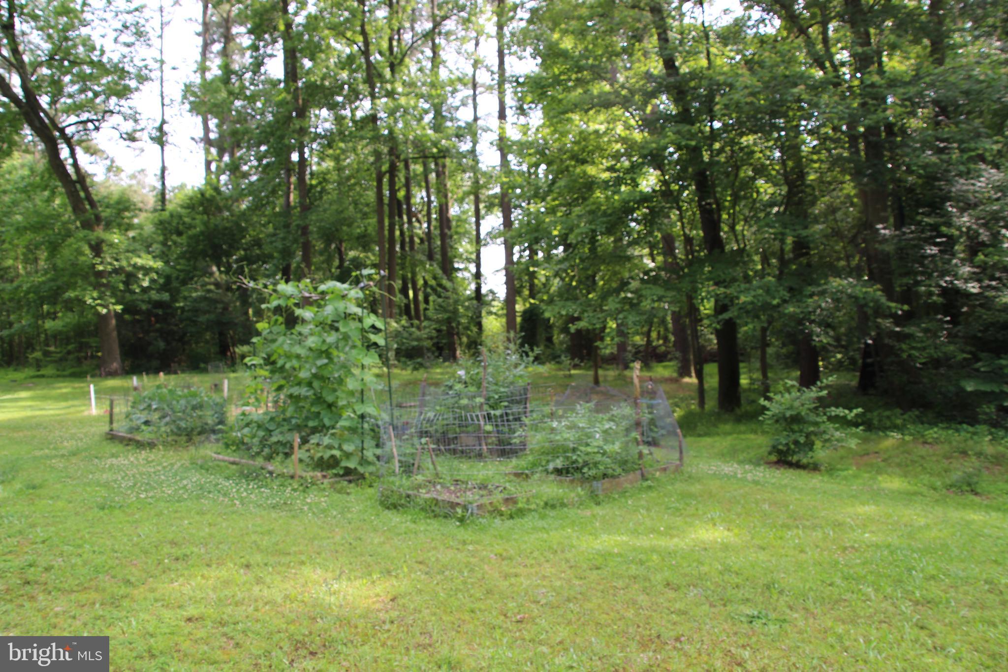 3252 Sheephouse Road Pocomoke City, MD 21851 - Photo 34 of 36 Gallery Image 34