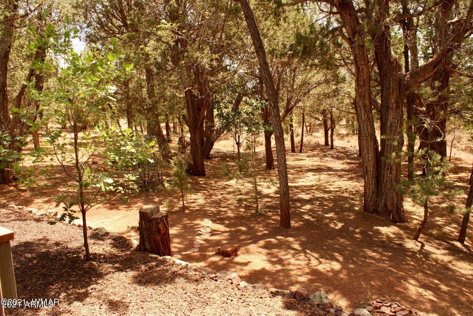 6731 Cheney Ranch Loop Show Low, AZ 85901 - Photo 27 of 27 27