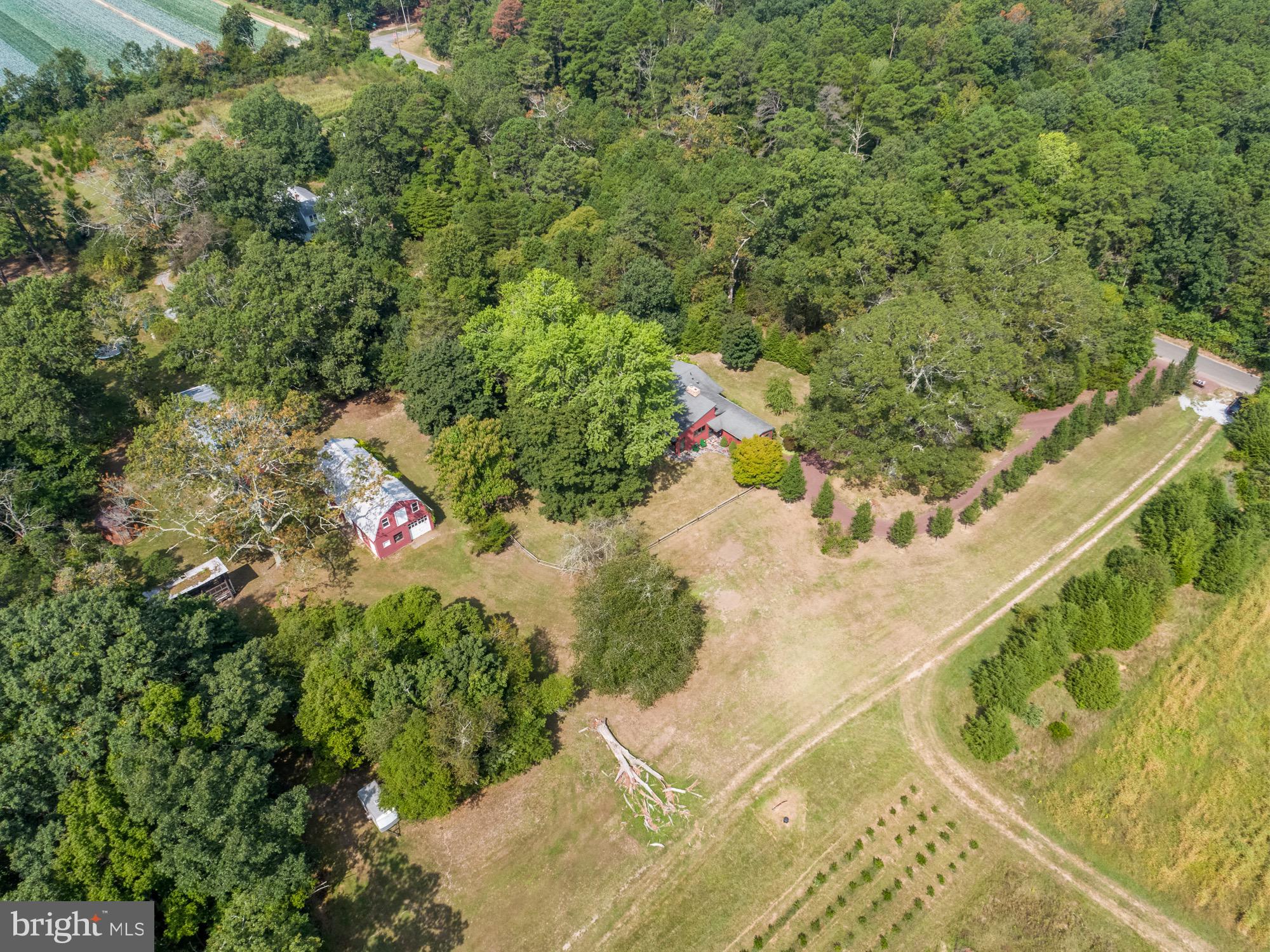 320 Waldeck Avenue Milmay, NJ 08340 - Photo 8 of 36