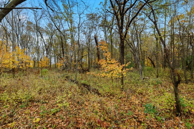 $195,000 | 32-xx 32-xx 121st Street East, Dundas, MN 55019