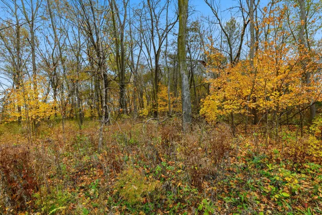 $195,000 | 32-xx 32-xx 121st Street East, Dundas, MN 55019