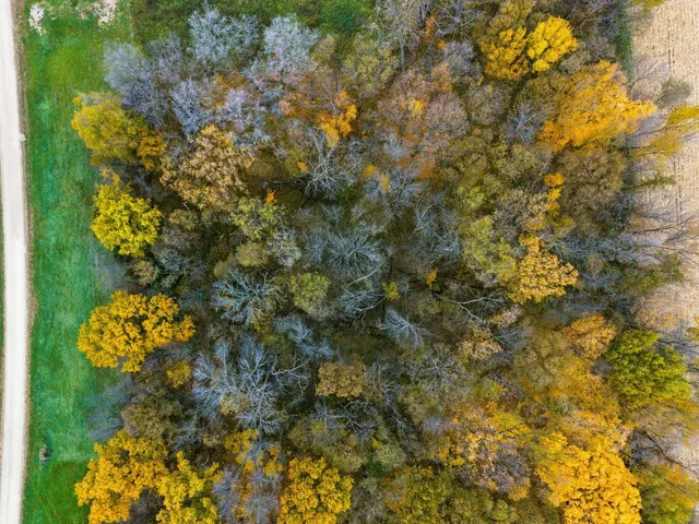 $195,000 | 32-xx 32-xx 121st Street East, Dundas, MN 55019