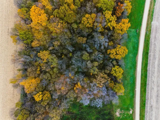 $195,000 | 32-xx 32-xx 121st Street East, Dundas, MN 55019