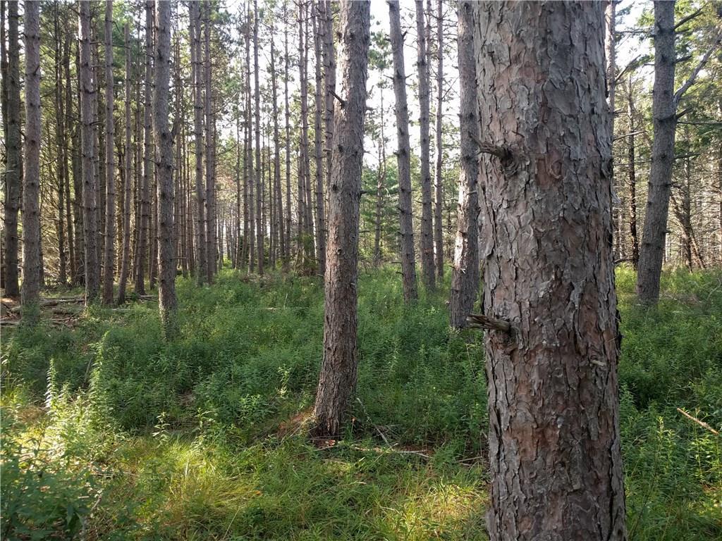 0 Wardwell Point Road Penobscot, ME 04476 - Photo 2 of 10 Photo
