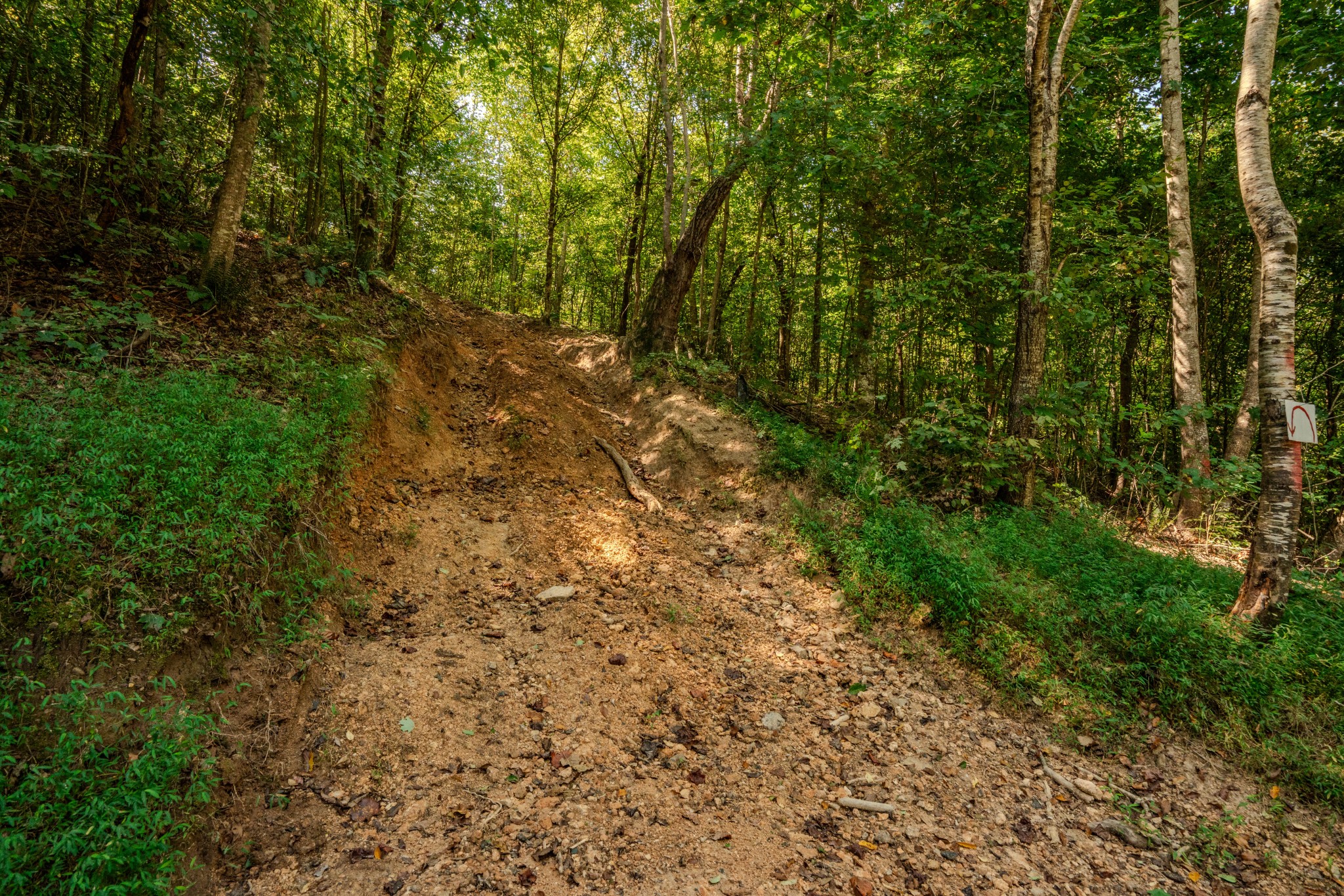 9270 Last Butler Creek Road Iron City, TN 38463 - Photo 45 of 86 Gallery Image 45