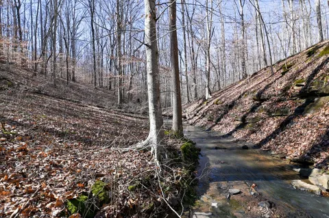 a view of outdoor space with yard