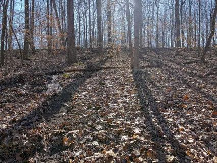 a view of a backyard of the house