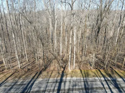 a view of a backyard of the house