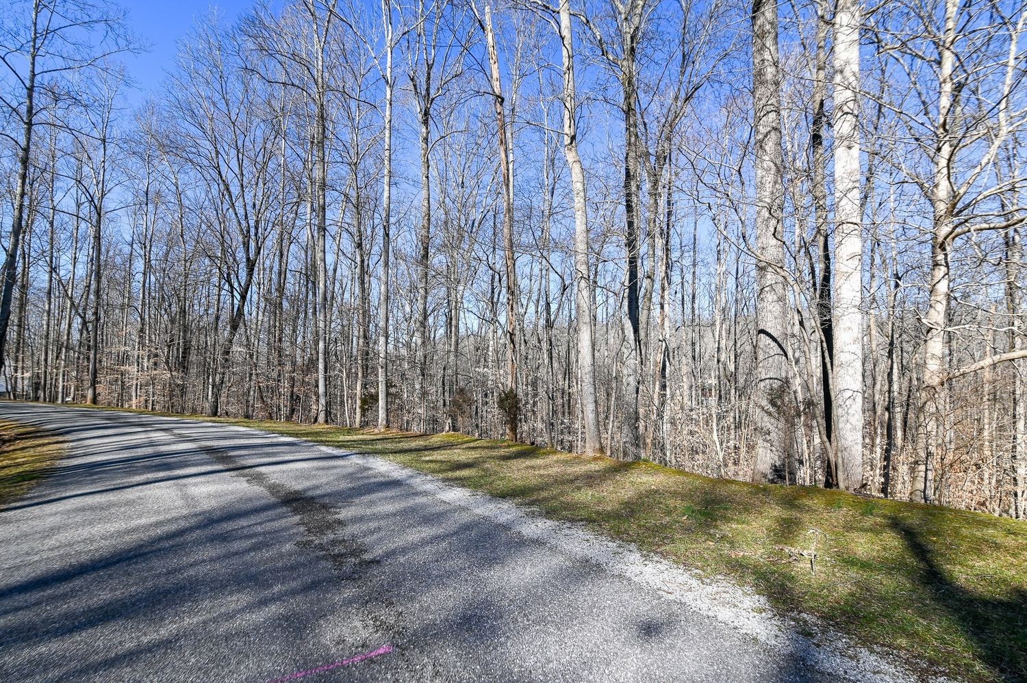 1008 Larkwood Road Kingston Springs, TN 37082 - Photo 20 of 24 a view of outdoor space with deck and yard