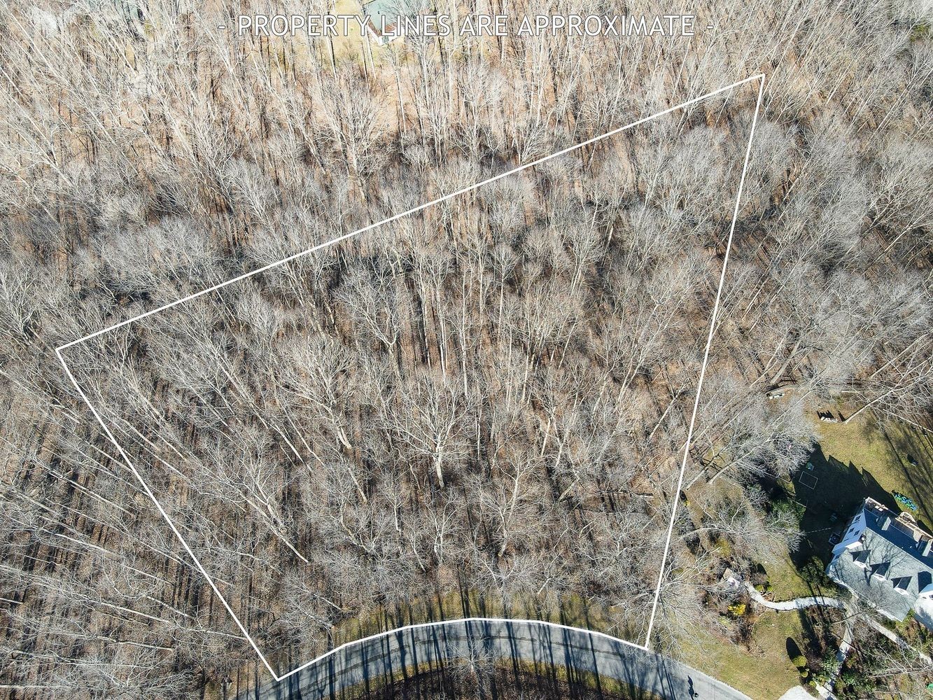 1008 Larkwood Road Kingston Springs, TN 37082 - Photo 2 of 24 a view of entryway with wooden floor
