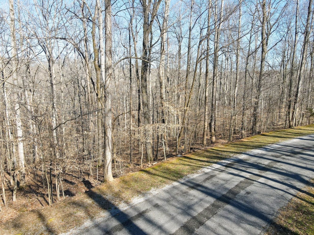 1008 Larkwood Road Kingston Springs, TN 37082 - Photo 22 of 24 a view of a backyard of the house