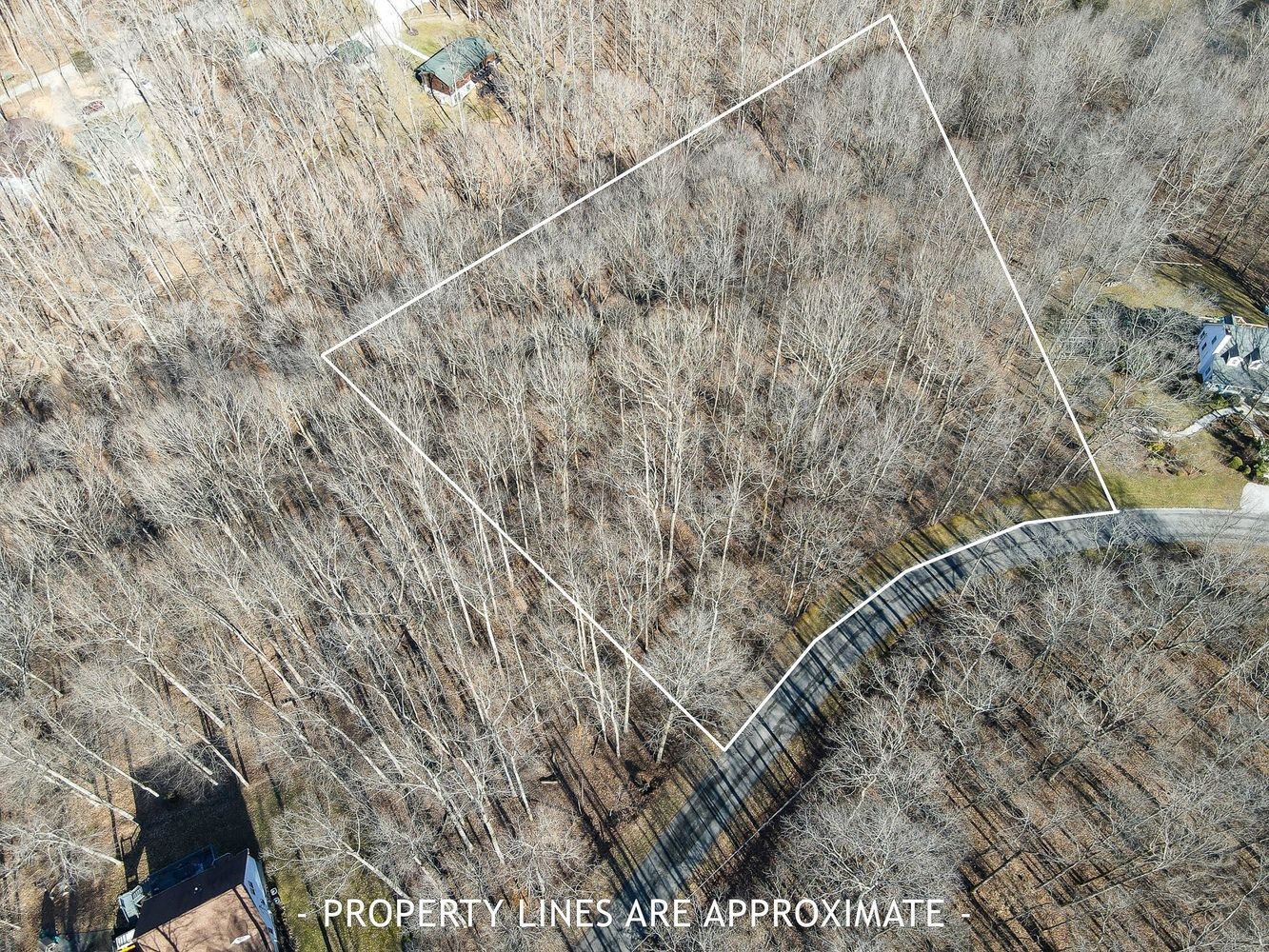 1008 Larkwood Road Kingston Springs, TN 37082 - Photo 24 of 24 a close up of a dry space with wooden floor