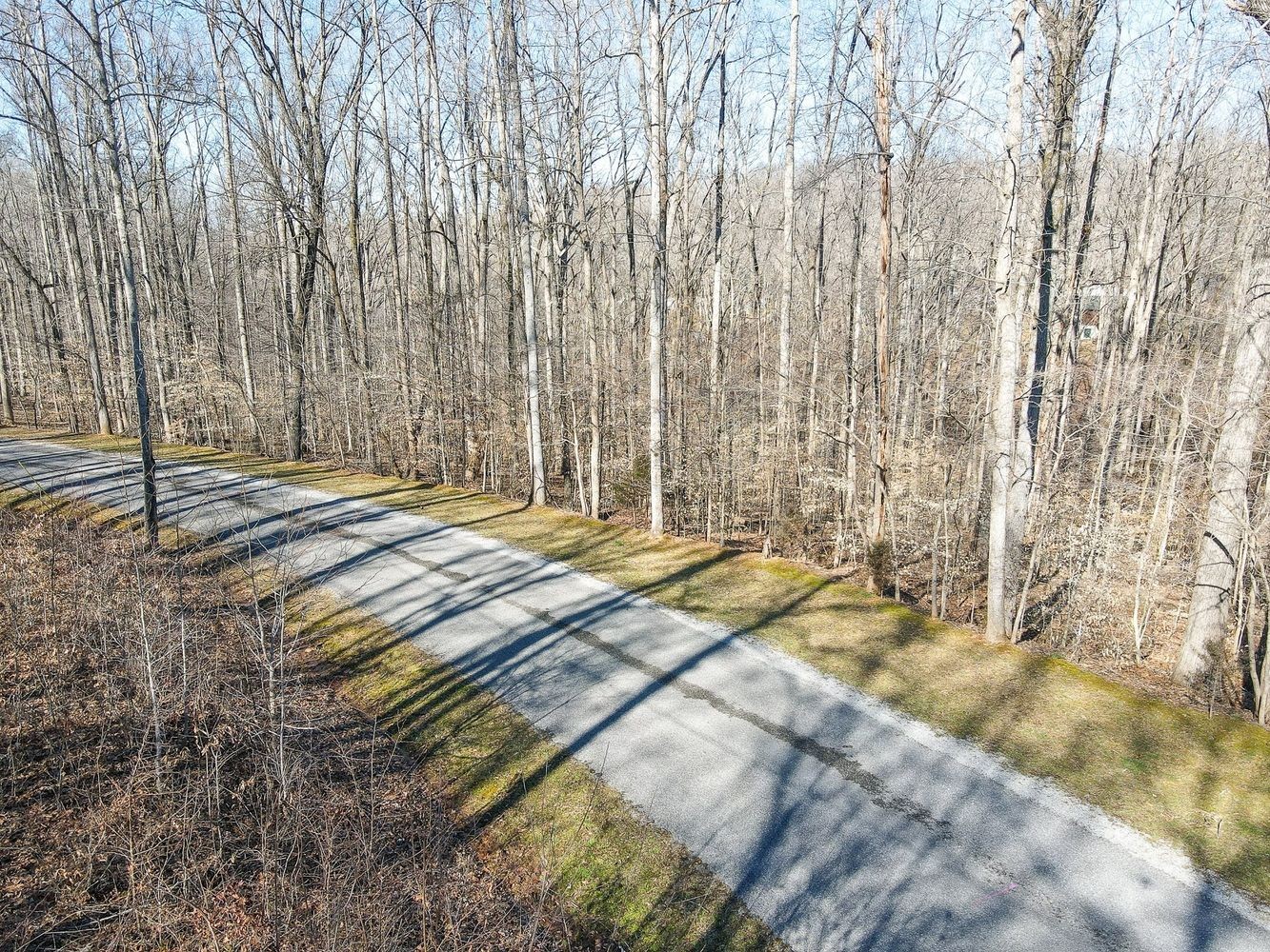 1008 Larkwood Road Kingston Springs, TN 37082 - Photo 4 of 24 a bedroom with a bed and a chandelier