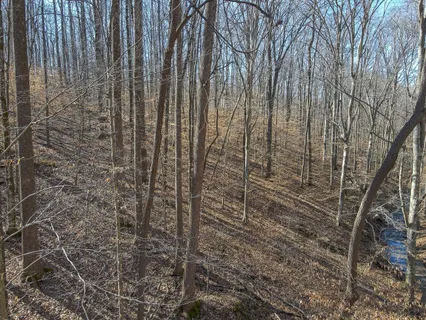 a close up of a shower in a bathroom