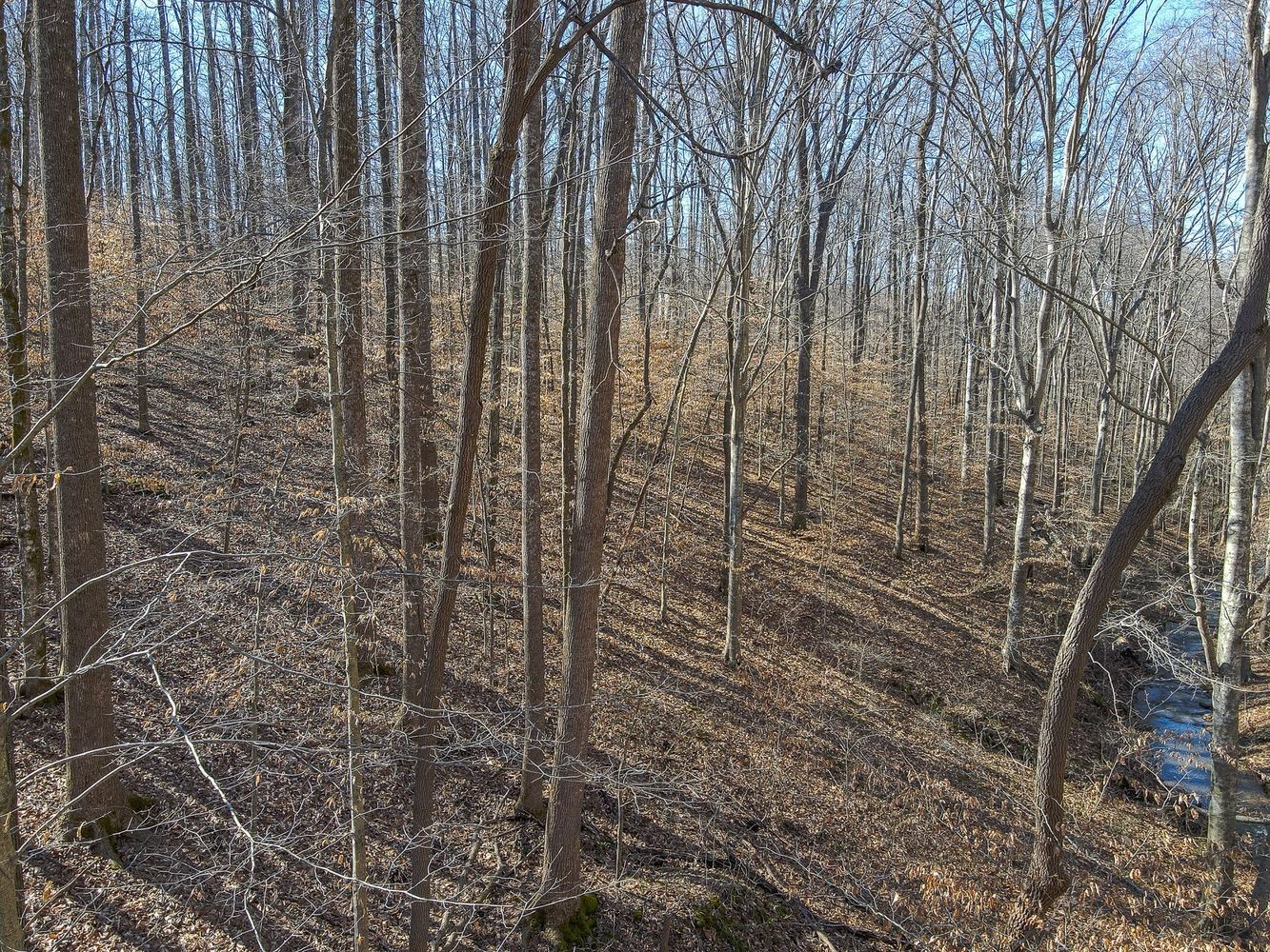 1008 Larkwood Road Kingston Springs, TN 37082 - Photo 5 of 24 a close up of a shower in a bathroom
