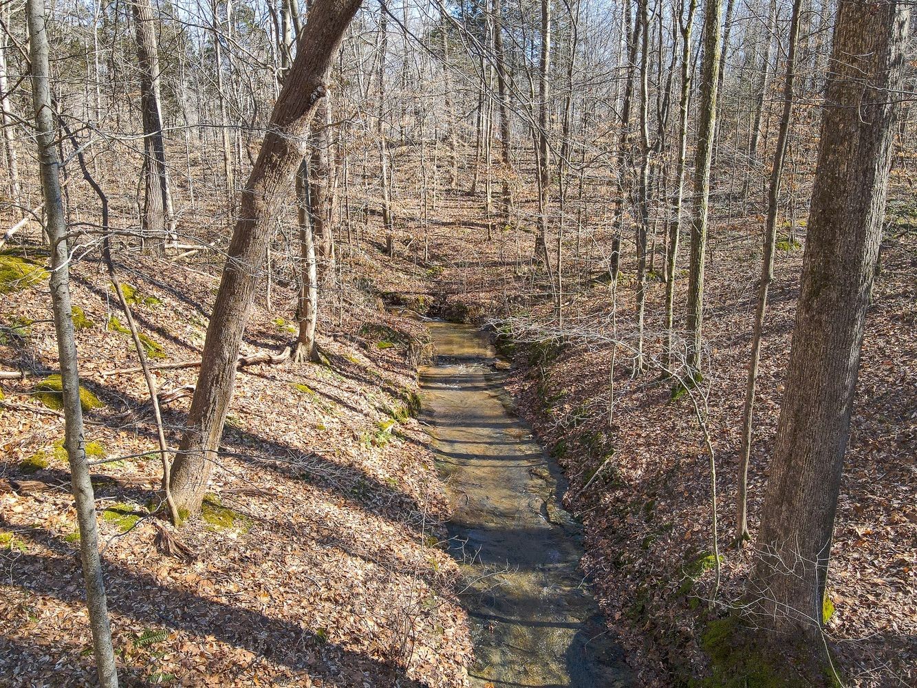 1008 Larkwood Road Kingston Springs, TN 37082 - Photo 6 of 24