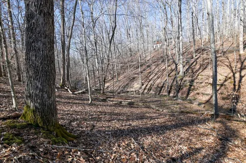 a close up of a wall