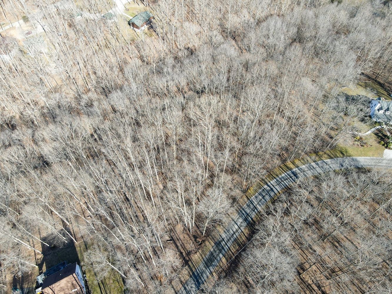 1008 Larkwood Road Kingston Springs, TN 37082 - Photo 8 of 24 a close up of a wall