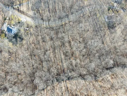 a close up of a field