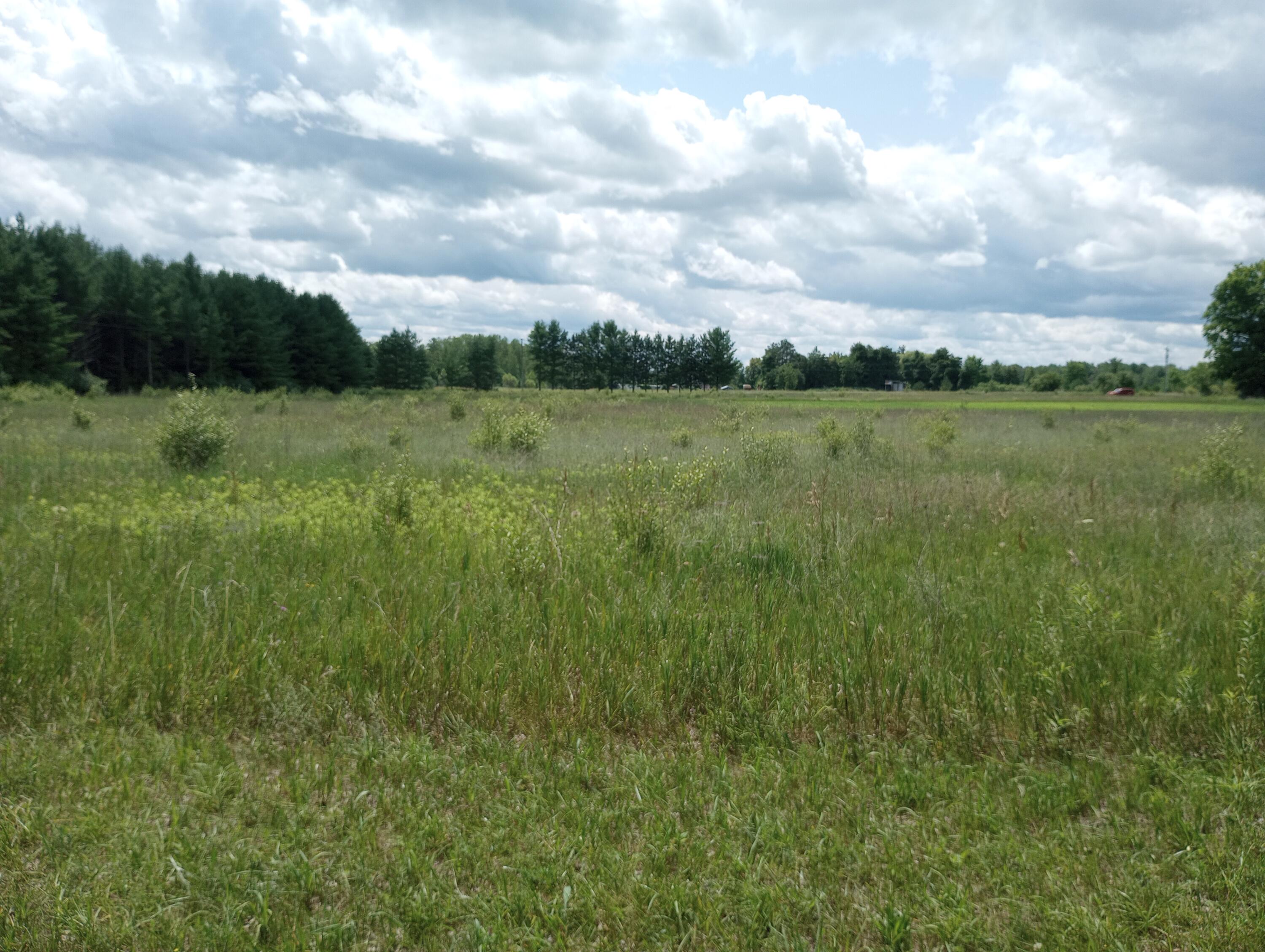 Precour Road Alpena, MI 49707 - Photo 10 of 21 Gallery Image 10