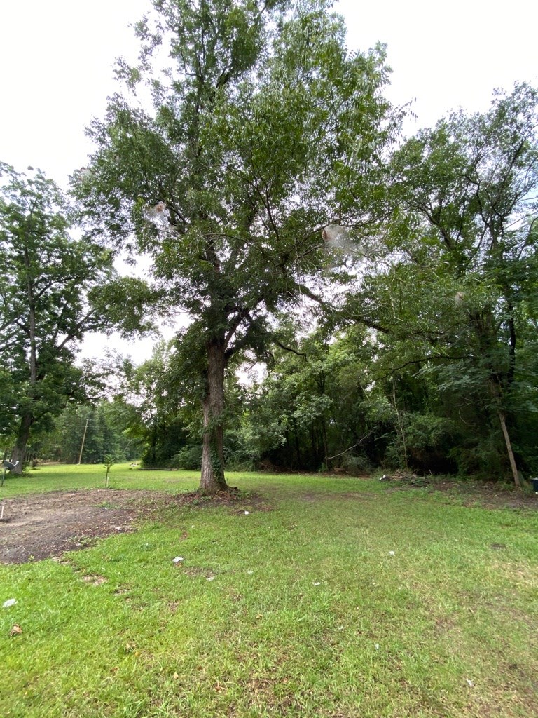2242 Coot Adams Road Ashford, AL 36312 - Photo 15 of 39