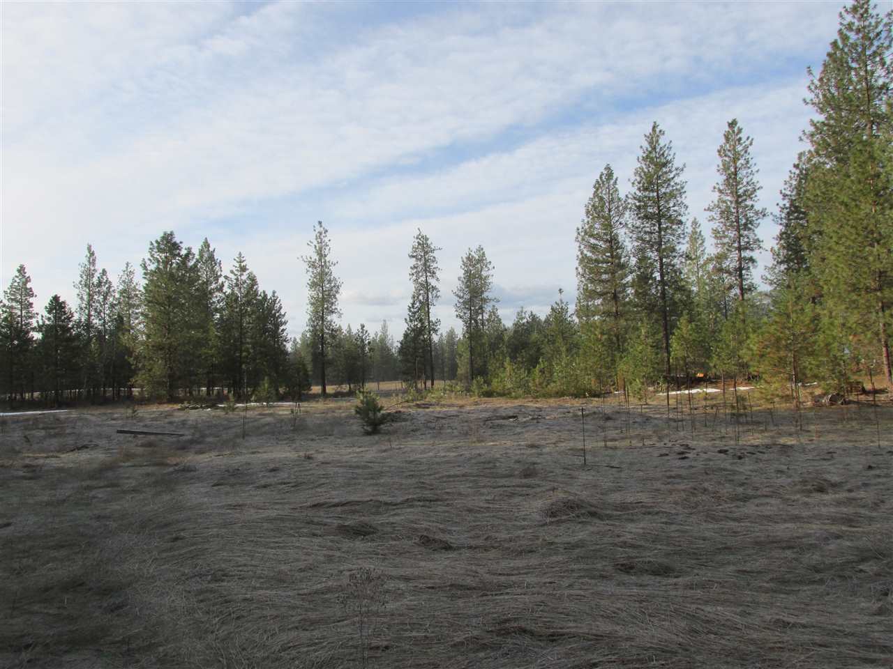 Nna Bossburg Road Evans, WA 99126 - Photo 11 of 20