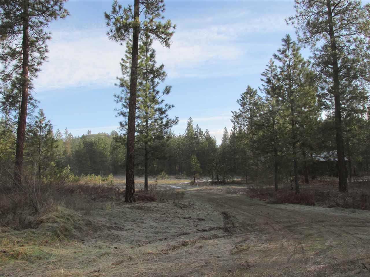 Nna Bossburg Road Evans, WA 99126 - Photo 12 of 20