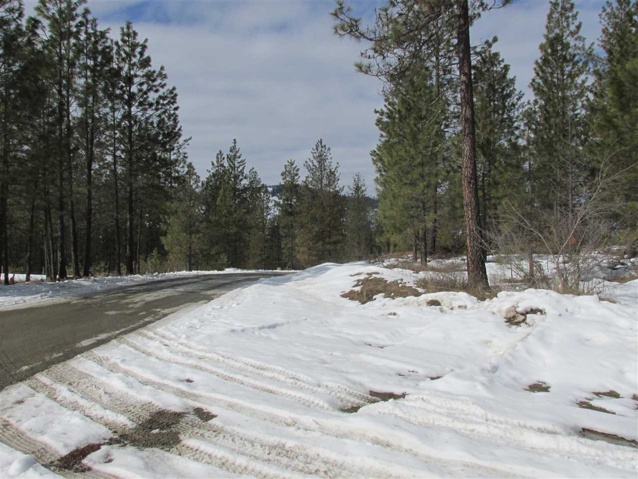 Nna Bossburg Road Evans, WA 99126 - Photo 15 of 20