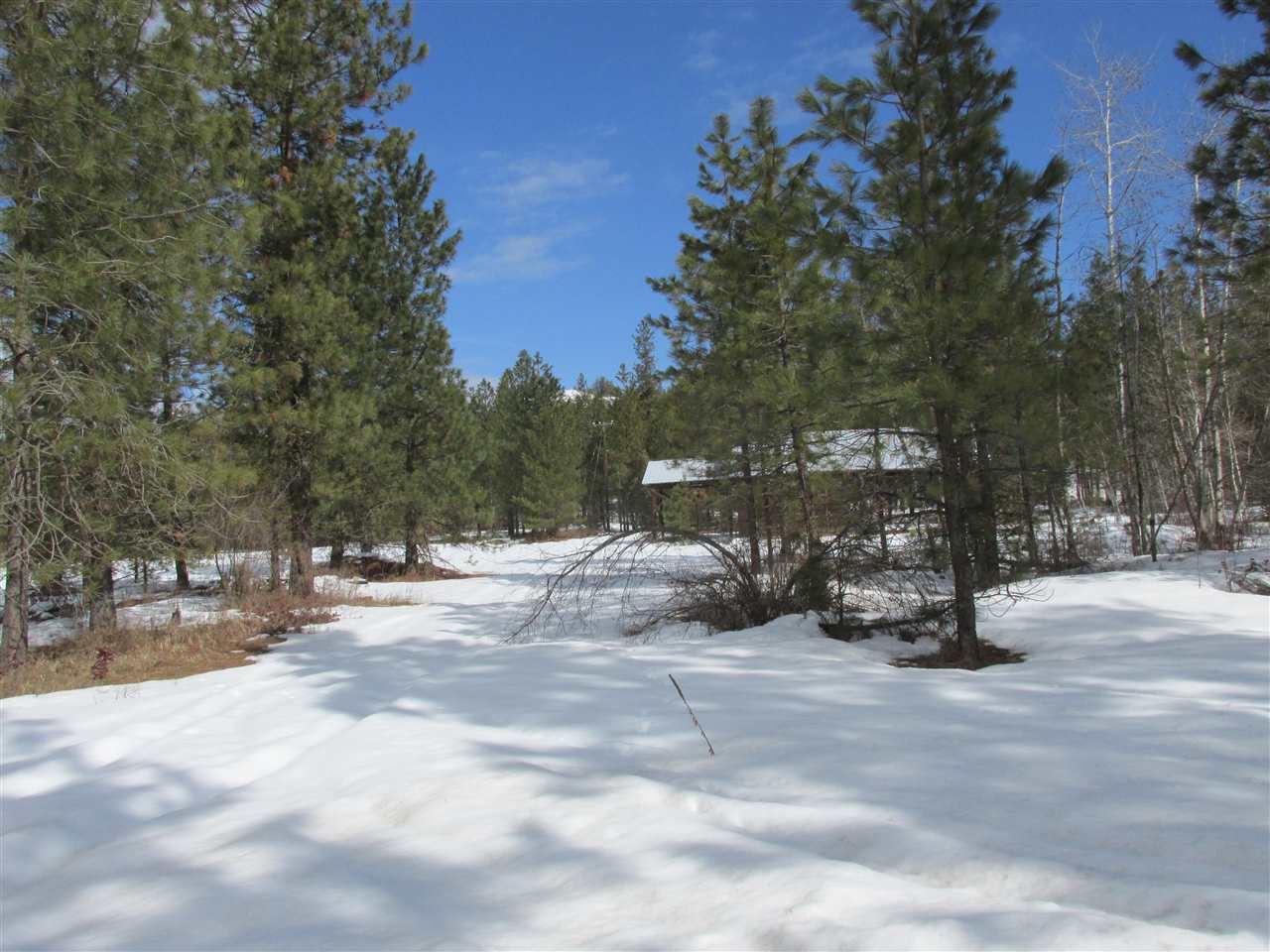 Nna Bossburg Road Evans, WA 99126 - Photo 16 of 20