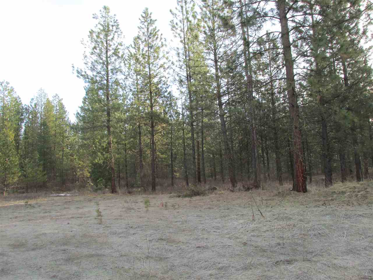 Nna Bossburg Road Evans, WA 99126 - Photo 5 of 20