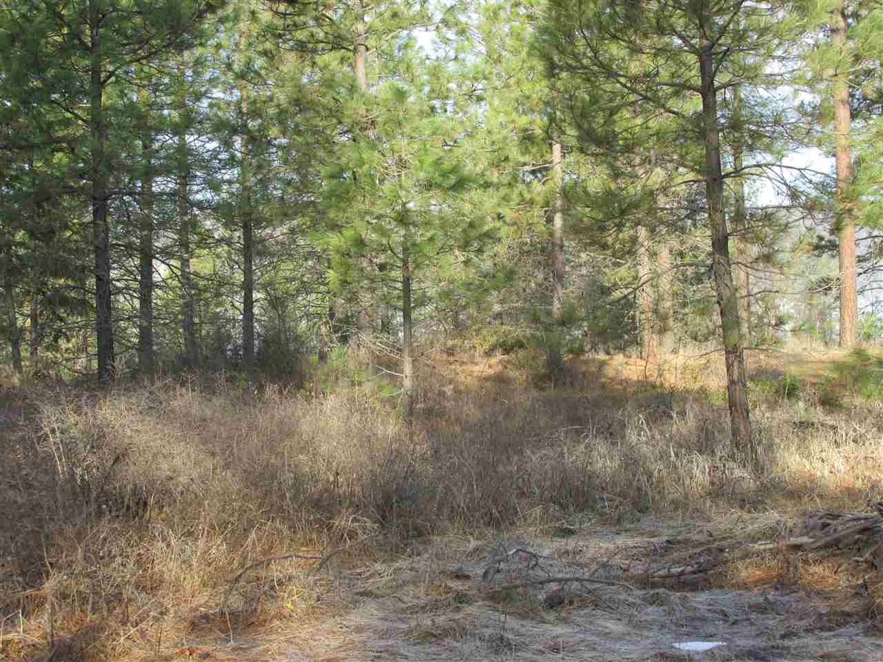 Nna Bossburg Road Evans, WA 99126 - Photo 7 of 20