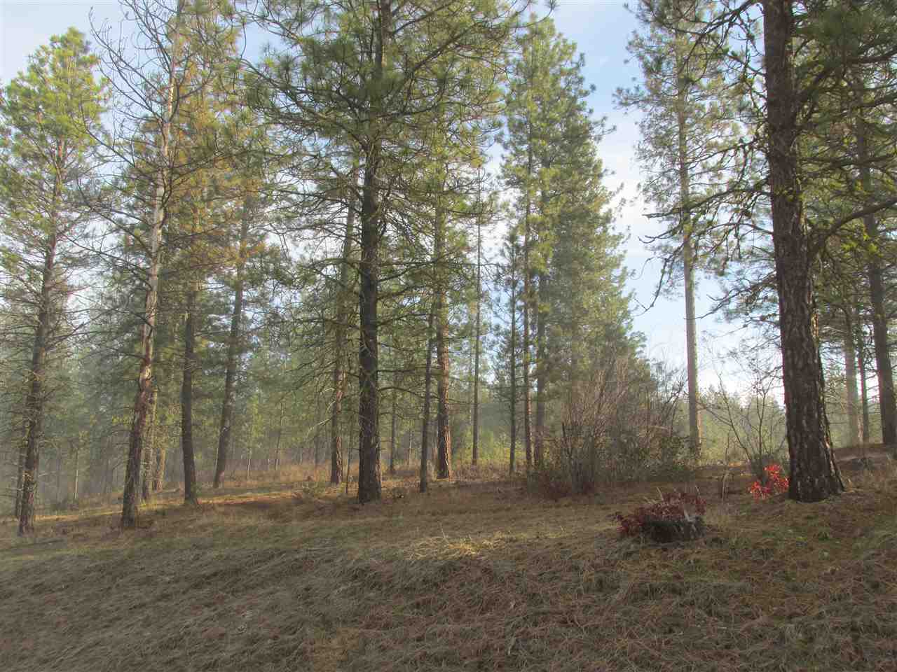 Nna Bossburg Road Evans, WA 99126 - Photo 9 of 20