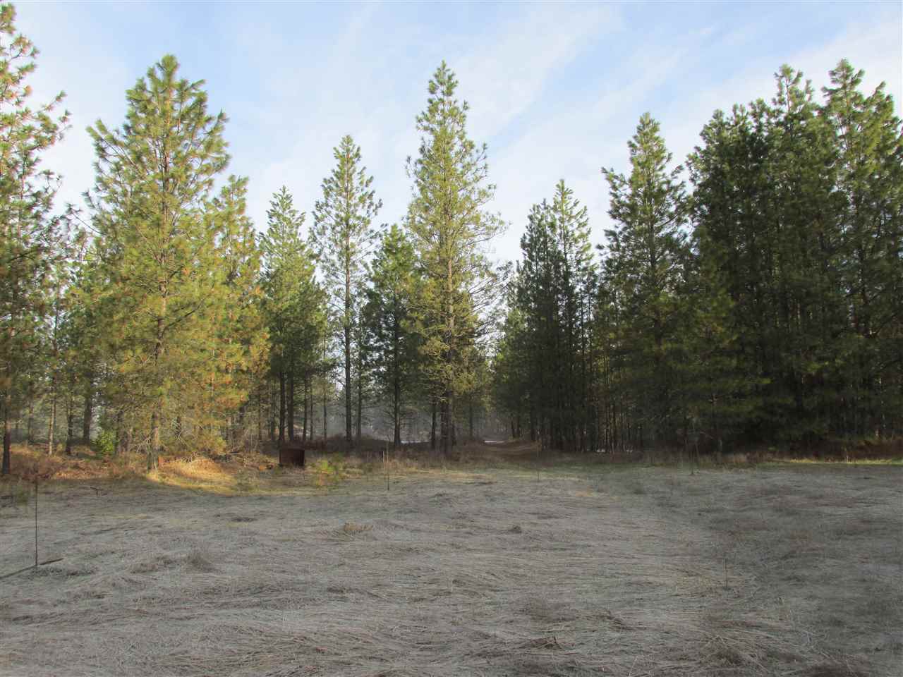 Nna Bossburg Road Evans, WA 99126 - Photo 10 of 20
