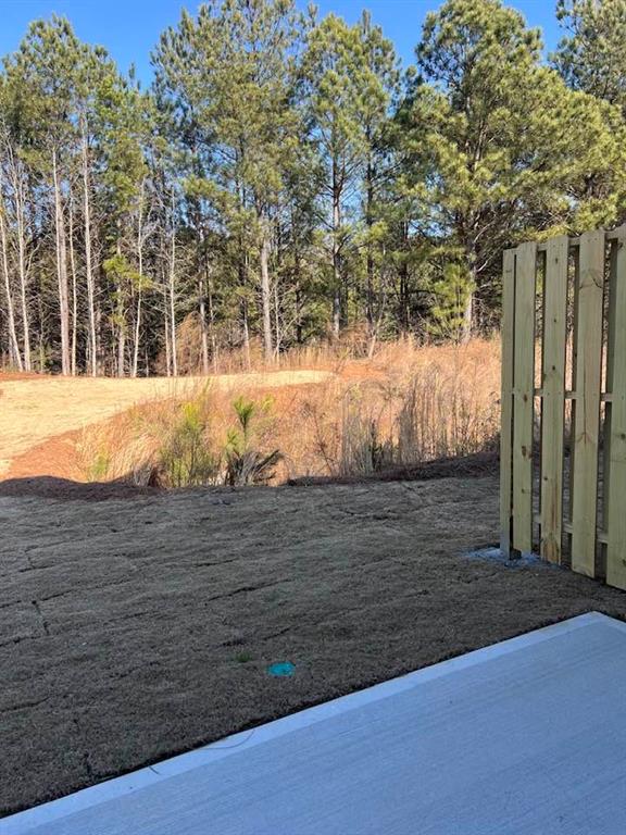 111 Rivington Drive Winder, GA 30680 - Photo 30 of 34