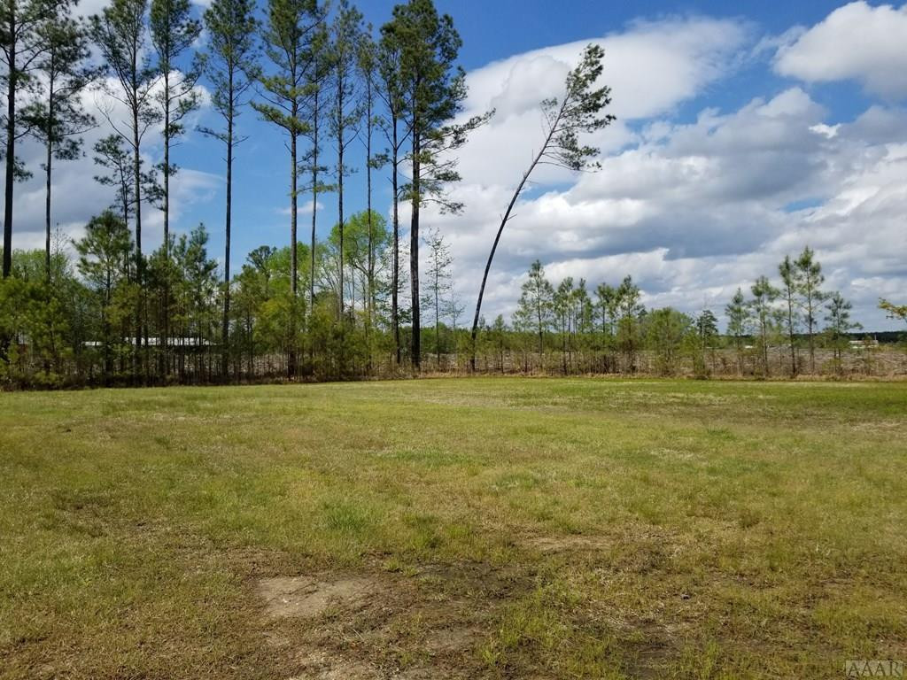 288 Paige Riddick Road Gates, NC 27937 - Photo 13 of 34