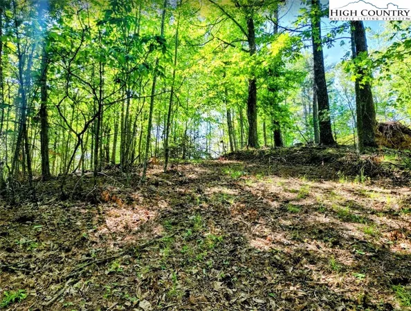 $135,000 | Lucky Leaf Lane, Vilas, NC 28692