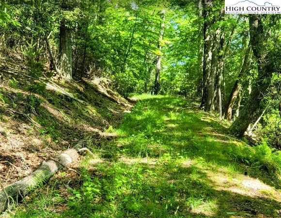 $135,000 | Lucky Leaf Lane, Vilas, NC 28692