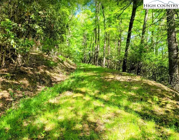 $135,000 | Lucky Leaf Lane, Vilas, NC 28692