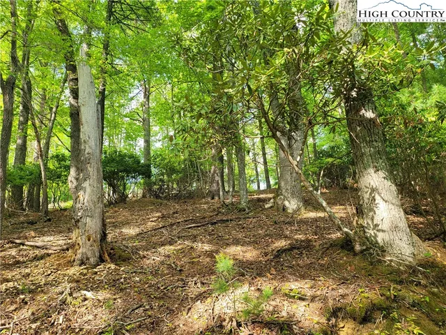 $135,000 | Lucky Leaf Lane, Vilas, NC 28692