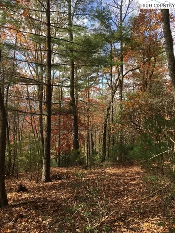 $135,000 | Lucky Leaf Lane, Vilas, NC 28692