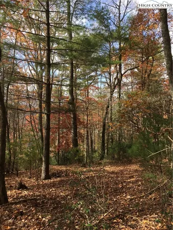 $135,000 | Lucky Leaf Lane, Vilas, NC 28692
