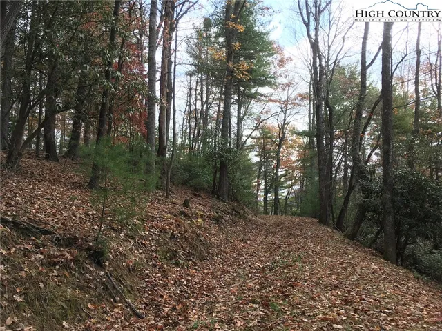 $135,000 | Lucky Leaf Lane, Vilas, NC 28692