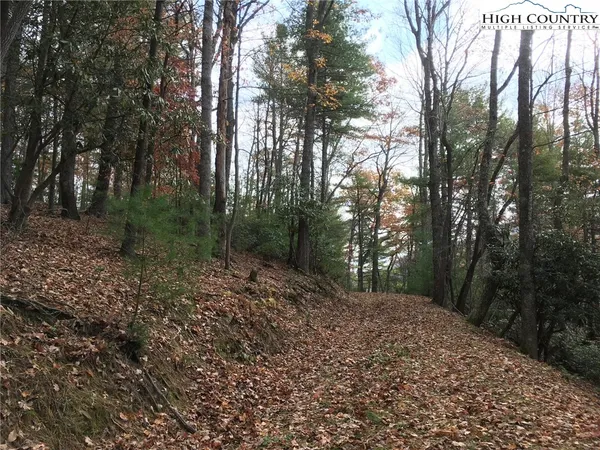 $135,000 | Lucky Leaf Lane, Vilas, NC 28692