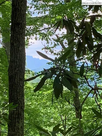 $135,000 | Lucky Leaf Lane, Vilas, NC 28692