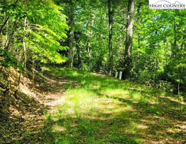 $135,000 | Lucky Leaf Lane, Vilas, NC 28692