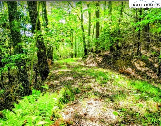 $135,000 | Lucky Leaf Lane, Vilas, NC 28692