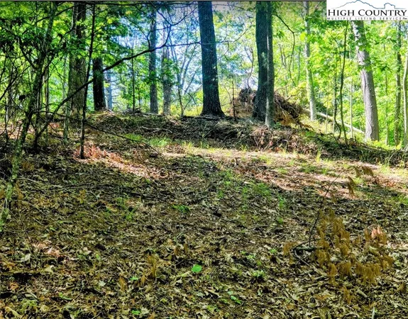 $135,000 | Lucky Leaf Lane, Vilas, NC 28692